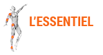 L'essentiel de l'articulaire