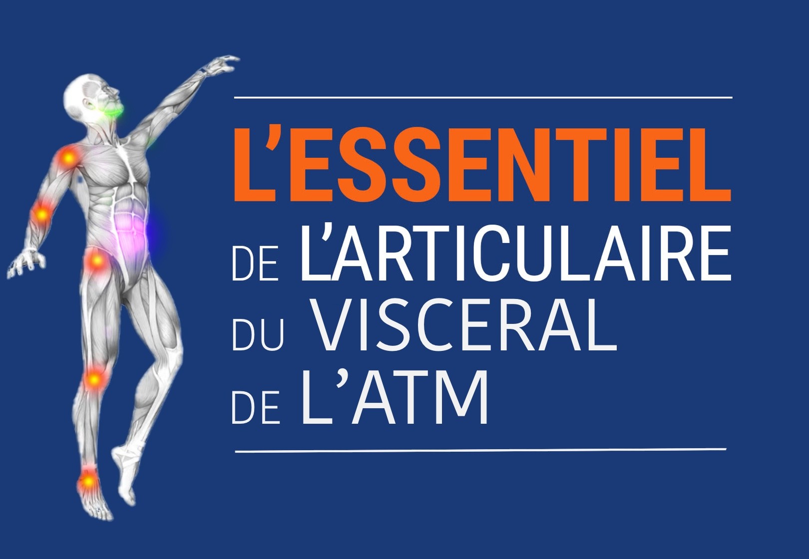 L'essentiel de l'articulaire, du viscéral et de l'ATM